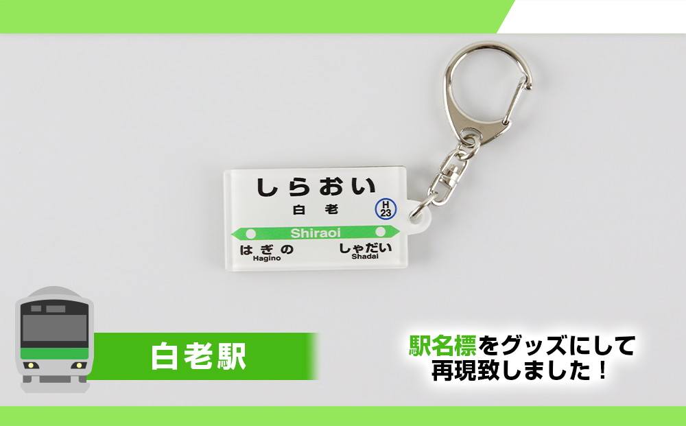 【JR北海道】白老町内6駅 駅名標キーホルダーセット 　QA051