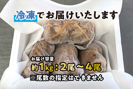 訳あり 北海道産 毛ガニ ＜ 冷凍 ＞ ボイル 約 1kg （ 2～4尾 ） 毛蟹 毛がに かに カニ 蟹 かに味噌 カニ味噌 海鮮 海産物 わけあり 訳アリ