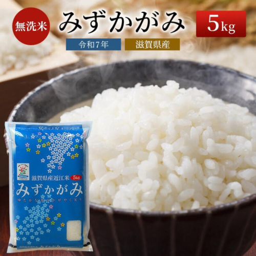 【令和7年産新米】滋賀県産 みずかがみ BG無洗米 5kg お米 2025年9月下旬出荷開始