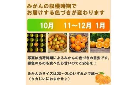 タカじいの 有田 みかん 5kg （良品 サイズ混合 or 大玉） / 温州みかん 有田みかん 甘い 家庭用 和歌山 柑橘 ※12月順次発送【krs004-c-5-12A】