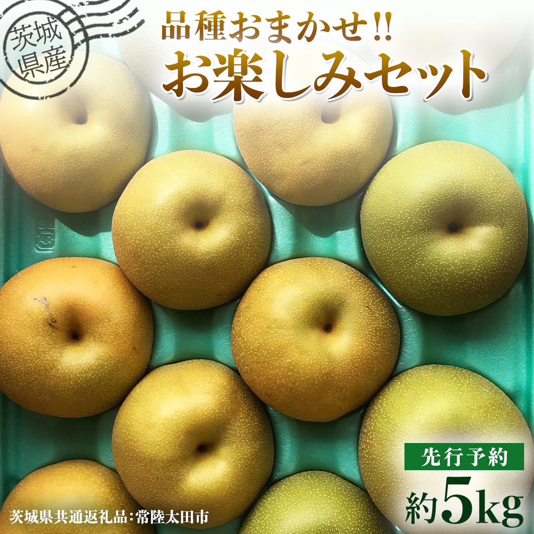 【 先行予約 】茨城県産 梨 品種おまかせお楽しみセット 約5kg 8玉～16玉 ( 茨城県共通返礼品 : 常陸太田市 )【 2026年 9月上旬頃より発送 】  フルーツ 果物 国産 日本産 梨 ナシ なし 和梨 期間限定 数量限定