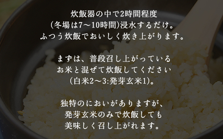 【3か月 定期便】木村さんの炊飯器で発芽する発芽玄米 3合×6袋×3か月 AS2DG1