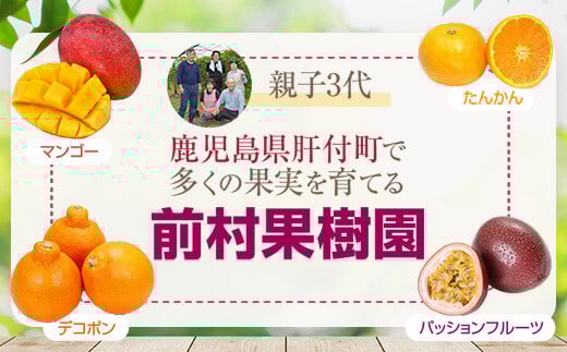 【先行受付】前村さんちのパッションフルーツ