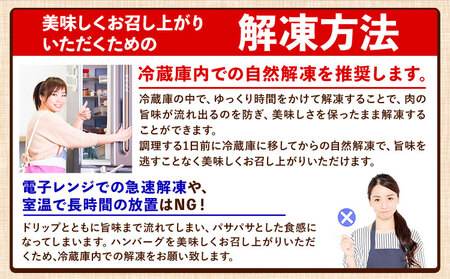黒毛和牛生ハンバーグ140g×15個 《30日以内に出荷予定(土日祝除く)》 簡単 調理 惣菜 冷凍 牛 湯煎 人気 子供 こども 小分け ハンバーグ 熊本県 玉東町｜人気ハンバーグ 大人気返礼品 ブ