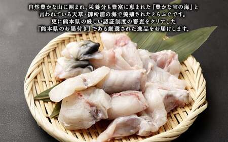 熊本県産ふぐぶつ切3パック＆ポン酢もみじおろし3袋＆熊本県産真鯛切身2入り7パック【FireshR】