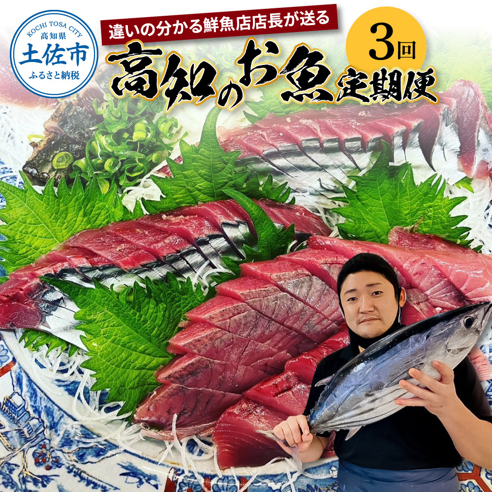 
                  【3回定期便】違いの分かる鮮魚店店長が送る 高知のお魚定期便！！ 海鮮 魚 さかな 新鮮 カツオのタタキ 金目鯛 真鯛 ネギトロ 天然アユ など 旬 季節【さかなの森澤　マル祐】 [BQAM008]
                