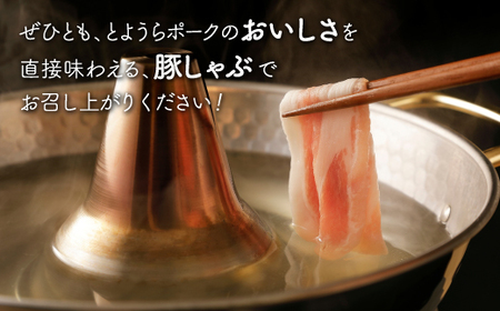 【3ヵ月 定期便 】 豚肉 しゃぶしゃぶ とようらポーク 1kg ロース 豚しゃぶ 北海道 豊浦産 SPF豚 