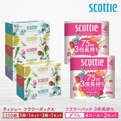 ふるさと納税 八代市 【スコッティ】ティシュー5箱P×1セット+3箱P×1セット+トイレット4ロール(ダブル)P×2セット