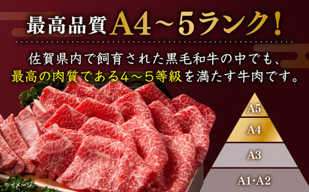 佐賀牛 切り落とし 600g / 牛肉切り落とし [IAX030]
