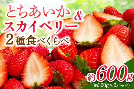 [先行予約] 日光産 とちあいか＆スカイベリー 約300g×各1パック 計600g 【2027年1月中旬から順次発送】｜いちご イチゴ 苺 果物 [0971]