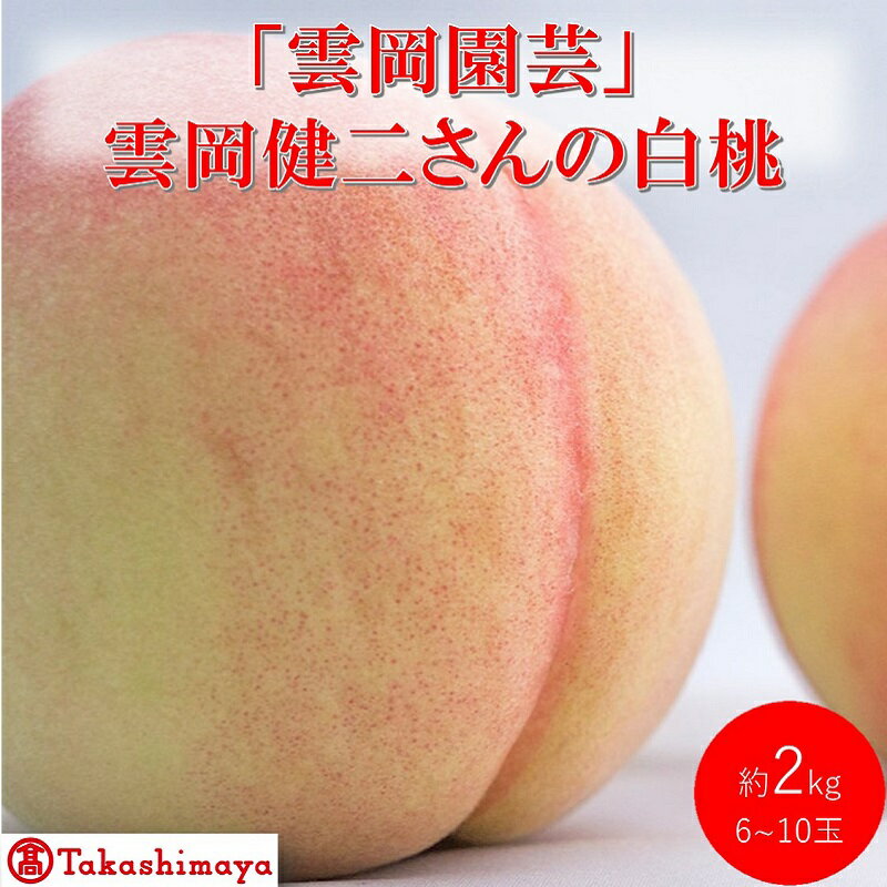【ふるさと納税】2026年 早期受付【高島屋選定品】「雲岡園芸」雲岡健二さんの白桃 6～10玉（約2kg） もも モモ 岡山県産 国産 フルーツ 果物 ギフト　お届け：2026年7月15日～2026年8月15日