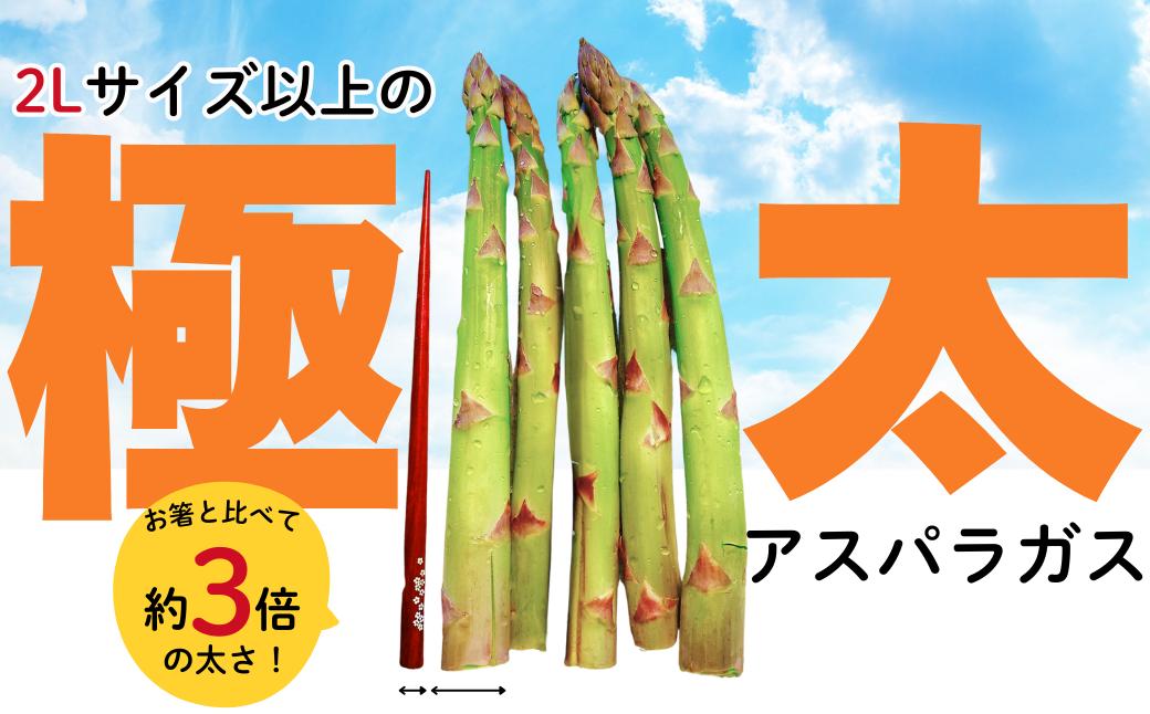 早朝に収穫したアスパラガスをその日のうちに発送、農家直送でお届けします！
