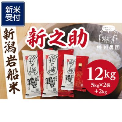 ふるさと納税 村上市 【新米受付・令和8年産米】新潟県村上市産　新之助12kg NB4073