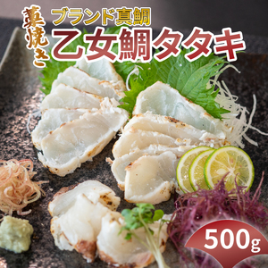 わら焼き鯛のタタキ500g 小島水産 乙女鯛 鯛 タタキ 鯛 タタキ 鯛 タタキ