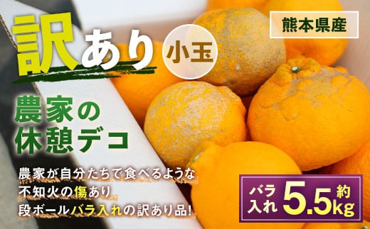 農家の休憩デコ 訳あり 小玉 約5.5kg 【2026年2月下旬～6月下旬発送】