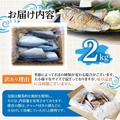 ふるさと納税 土佐清水市 訳あり 国産 塩サバ 切り身 約2kg(約12枚)味付き・冷凍【R01519】 |  | 03