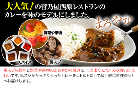 たっぷり！馬スジカレー 10食セット《60日以内に出荷予定(土日祝除く)》馬スジ カレー お肉 馬すじ カレーライス 馬肉 贈答 ギフト グルメ お取り寄せ 熊本県 津奈木町 送料無料 個包装 大人気
