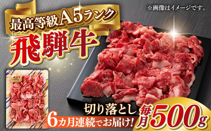 
            【6回定期便】A5等級 飛騨牛 切り落とし 500g ブランド牛 最高級 A5ランク 岐阜市 / 三心 [ANGY013]
          