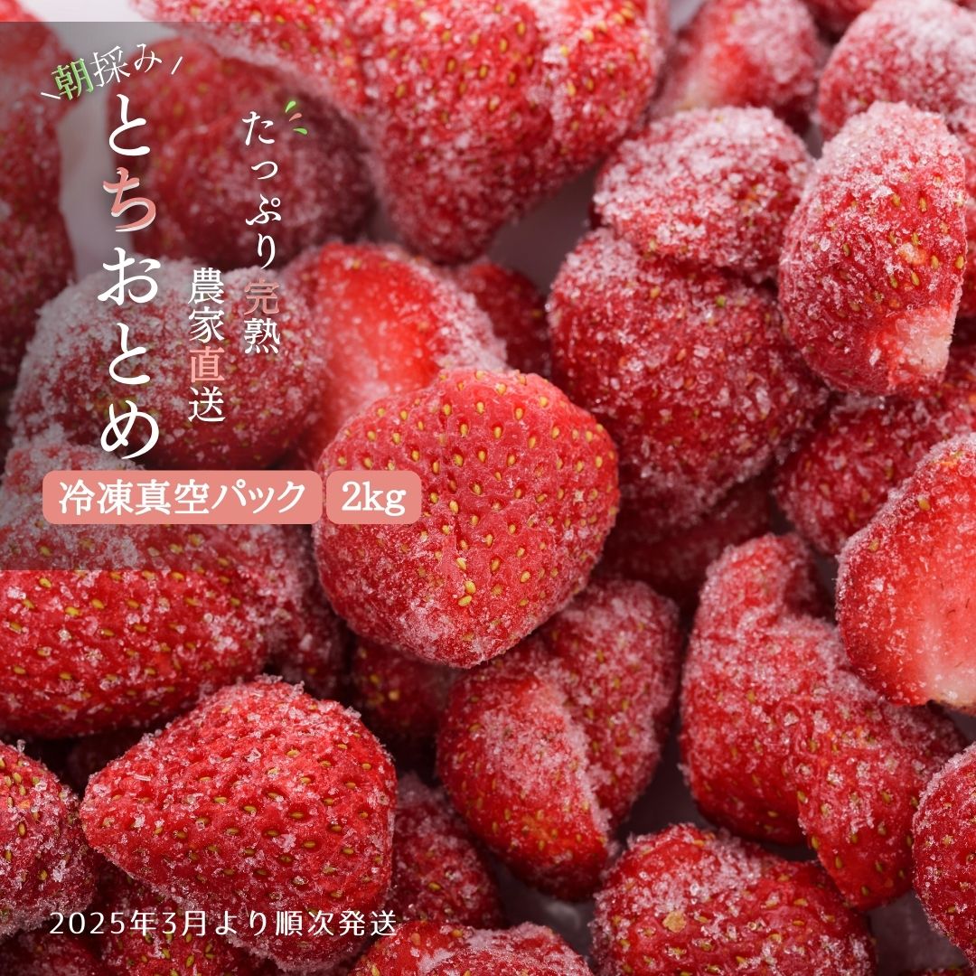 【ふるさと納税】【訳あり/2025年3月より発送】完熟朝摘みとれたての冷凍いちご　とちおとめ　約2kg （500g×4パック）　農家直送の冷凍苺を真空パックでお届け