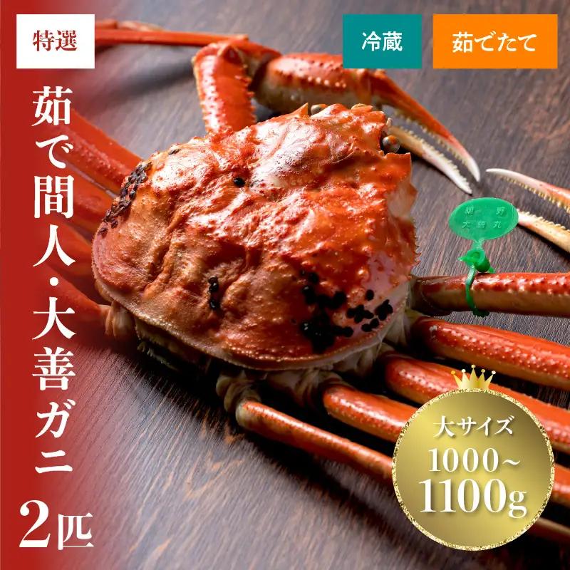 【蟹の匠 魚政】京丹後市産 未冷凍 茹で間人ガニ大善ガニ 特撰 大サイズ（1000～1100g） 2匹セット（1月～3月発送） 蟹