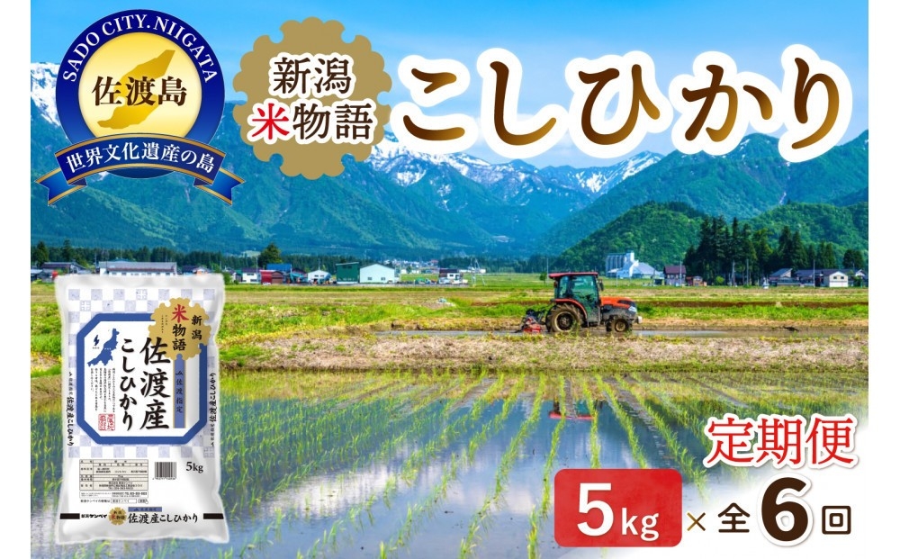 
                  【6か月定期便 コシヒカリ】新潟米物語 佐渡産コシヒカリ 合計30kg（5kg×毎月お届け全6回）精米 | 新潟県産コシヒカリ 新潟産コシヒカリ 新潟コシヒカリ 佐渡島産コシヒカリ 新潟県産こしひかり 佐渡産こしひかり お米 米 こしひかり 白米 精米 ブランド米 おこめ コメ 5キロ 定期便 にいがた さど 新潟県 佐渡市
                