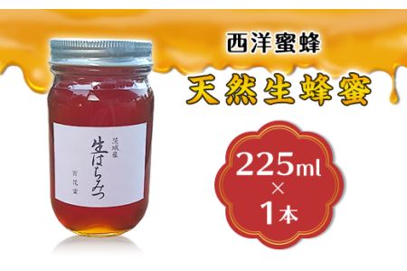 天然生蜂蜜（西洋蜜蜂）【 天然はちみつ 生はちみつ 人気はちみつ 茨城はちみつ 下妻はちみつ 】