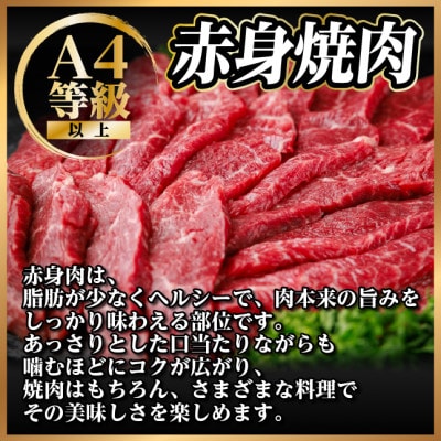 飛騨牛 赤身(焼肉・BBQ用) 約300g【冷蔵便】A4〜A5等級 黒毛和牛【配送不可地域：離島】【1646121】