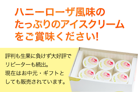 糖度17度の甘さ♪ハニーローザアイスクリーム 120ml×8個《30日以内に出荷予定(土日祝除く)》 熊本県玉名郡玉東町 すもも ハニーローザ アイス ぷらっとぎょくとう