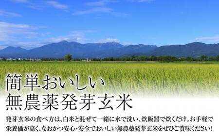 令和7年・新潟県産|JAS有機栽培アイガモ農法 コシヒカリ 発芽玄米 2kg