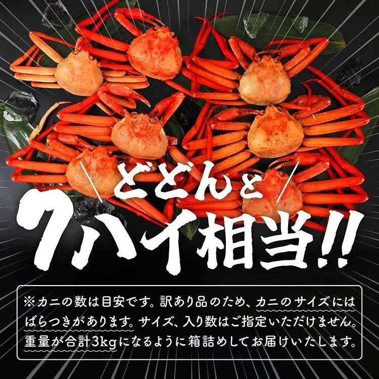 紅ズワイガニ  冷蔵 訳あり 3kg【安田水産】