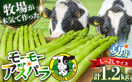 【先行予約・25年6月以降発送】モーモーアスパラ夏芽 2L・L 1.2kg 迷ったらこれ！ちょうどいい太さ2種セット 1.2kg /アスパラ アスパラ アスパラ アスパラ アスパラ アスパラ/ 日田市 / 有限会社本川牧場[ARAI035]