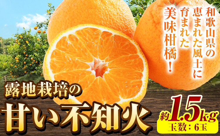 
            【先行予約】不知火 露地栽培の甘い 不知火 (デコ) 6玉 約1.5kg きよ農園《2026年2月末-3月末頃出荷(土日祝除く)》和歌山県 日高町 柑橘 不知火 しらぬい デコポン と同品種 フルーツ 果物 スイーツ 送料無料
          
