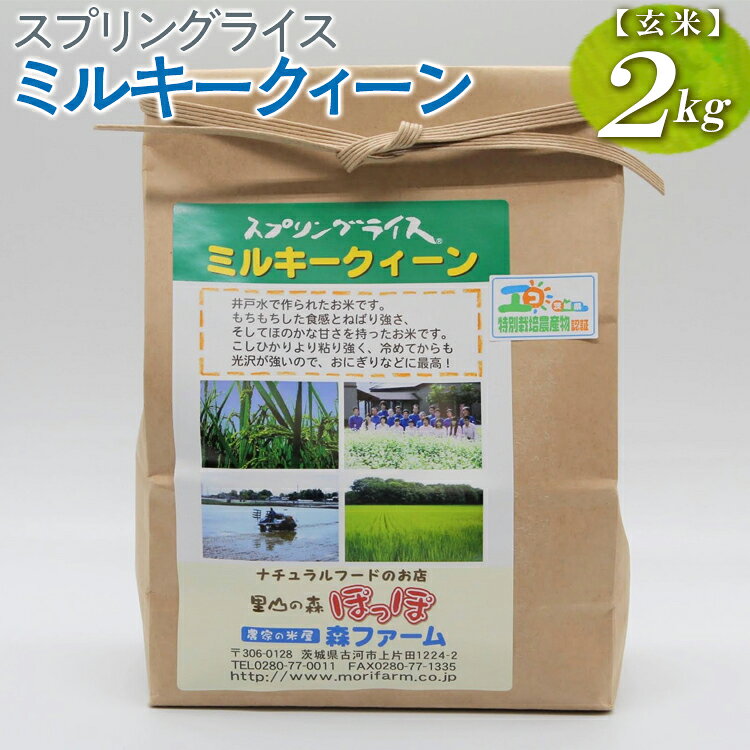 【ふるさと納税】【新米】スプリングライス ミルキークィーン (玄米)2kg ｜米 コメ こめ ごはん ご飯 ゴハン 白飯 スプリング ライス ミルキー クイーン 水へのこだわり 地下水 2kg 贈答 玄米 ビタミン ミネラル 食物繊維 ギフト プレゼント 贈答 ※2026年9月〜発送 _BI61