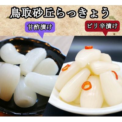 ふるさと納税 稲沢市 ふぞろいらっきょう甘酢/ピリ辛漬け 詰め合わせ 190g×10袋 | 