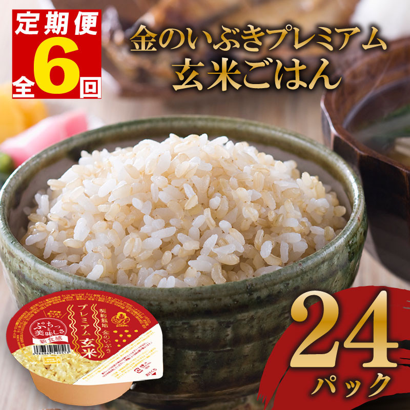 
            定期便 6回 玄米ごはんパック 120g 24個 玄米 米 お米 ごはん ご飯 こめ パックライス パックご飯 パックごはん ご飯パック ごはんパック パック ライス 備蓄 保存 非常 防災 電子 レンジ 温めるだけ レンチン 簡単 健康 ダイエット 美容 ヘルシー 24 24食 レトルト インスタント おいしい 人気 おすすめ 金のいぶき 大阪府 松原市
          