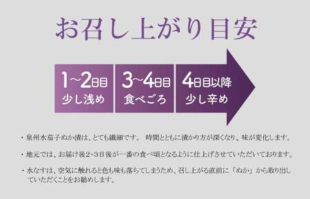 【お中元】特選水なす浅漬け＆生なす 11個入り