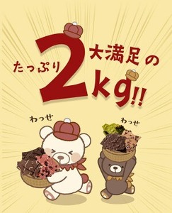 【ふるさと納税】 チョコレート 割れチョコ ≪11種類の割れチョコ≫兄弟セット(チュル太+クベ之助) 合計2kg [ 訳あり ギフト 贈答 チョコ 割れチョコミックス 詰め合わせ 不揃い 大量 返礼品