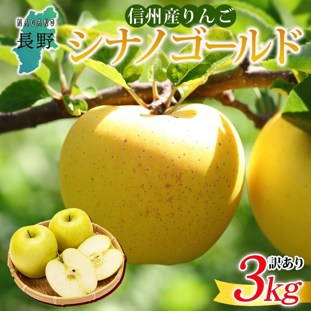 【ふるさと納税】＜26年発送 先行予約＞長野県産 りんご シナノゴールド 訳あり 約3kg リンゴ 旬 フルーツ 訳アリ 林檎 果物 規格外 自家用 産地直送 農園 産直 お取り寄せ もぎたて 採れたて 送料無料 堀田農園 信州 大町市