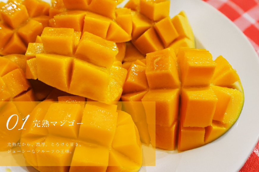 完熟 マンゴー チーズ タルト 1ホール 14cm [心優-Cotoyu Sweets- 長崎県 平戸市 hr42bgy420037] トロピカル 果物 ケーキ たっぷり チーズケーキ スイーツ ご褒