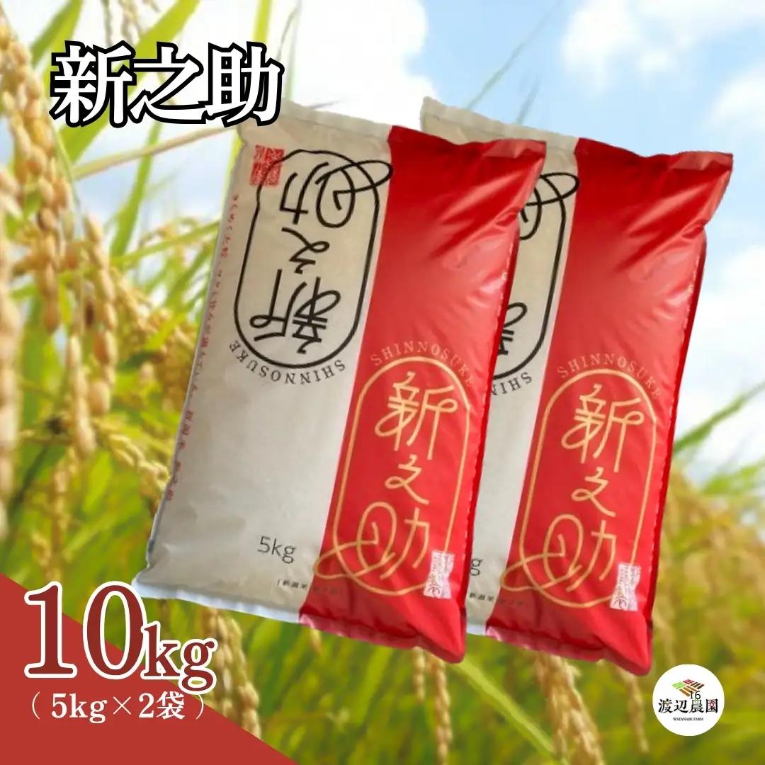 【先行予約】令和8年産 新米 新之助 10kg(5kg×2袋) 渡辺農園 | 新潟県 五泉市 新之助