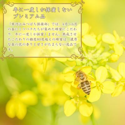 ふるさと納税 寒河江市 【天然熟成】国産非加熱はちみつ 340g×2本《抗生物質・保存料不使用》　011-G58 |  | 03