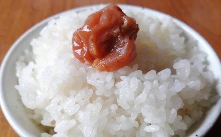 森井ファームのお茶とお米のセット （ティーバック3種×5 精米2合×2） お茶 茶 お米 米 詰め合わせ 詰合せ 贈り物 手土産 お茶詰め合わせ お米詰合せ お茶セット 飲み比べ かぶせ茶 ほうじ茶 