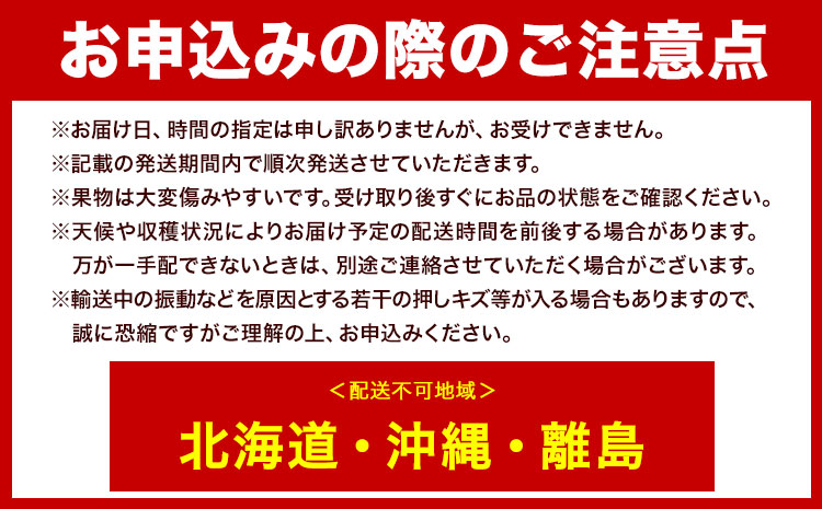 【2026年先行予約】ニューピオーネ 1房480g以上 約2kg 4房 株式会社山博《2026年8月下旬-10月上旬頃出荷》岡山県 笠岡市 ぶどう フルーツ 旬 果物 国産 岡山県産 送料無料 【配送