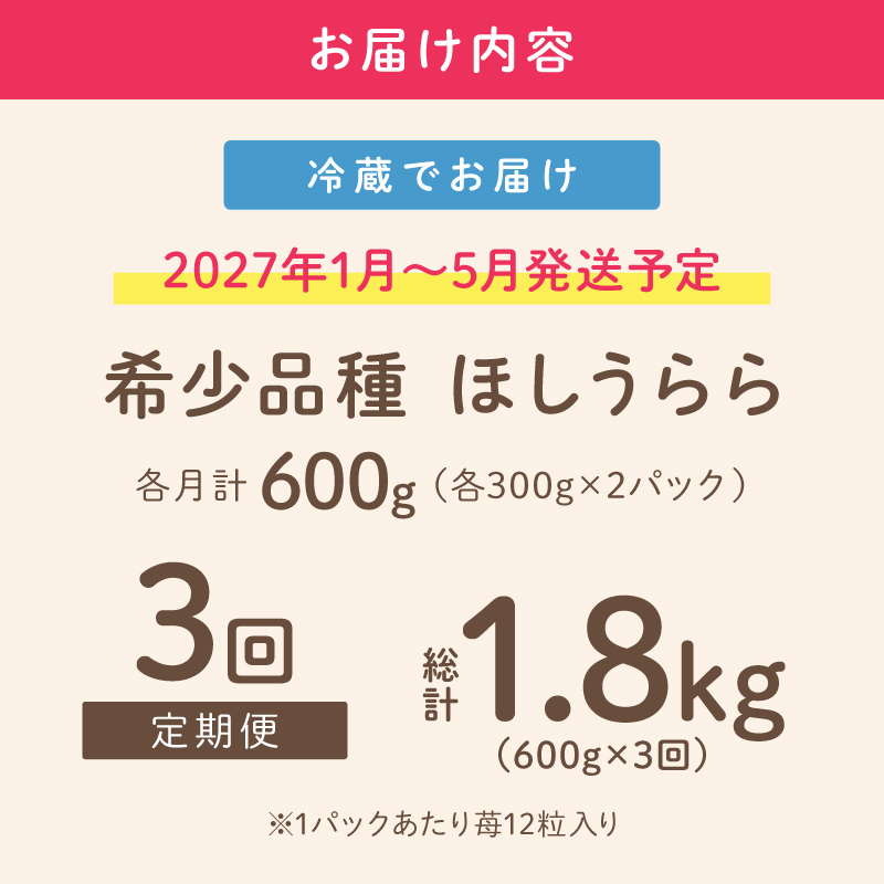 【2027年1月～5月発送予定】【糖度12〜15度の希少品種】いちご  ほしうらら 約600g（約300g×2パック×1箱）3ヶ月定期便 ※お届け不可地域あり【121C-006-2027】