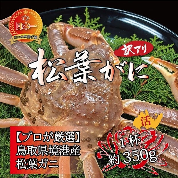 
            境港産 松葉ガニ350g（活冷）訳あり
          