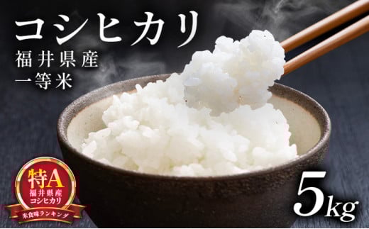 先行予約 / 数量限定【令和7年産 新米】福井県産 コシヒカリ 一等米 5kg ＜10月中旬以降順次発送予定＞【米 コメ お米 ブランド米 白米 精米 こしひかり 国産 北陸 5kg 10kg ご飯 ごはん 小分け 家庭用 ふるさと納税米】[101-a001]