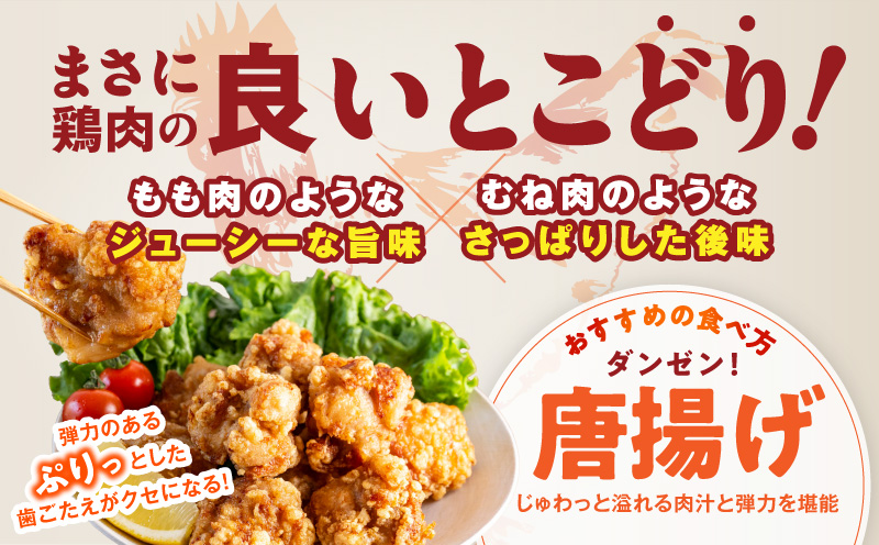 【氷温熟成×極味付け】国産鶏とろ（肩肉）1.5kg（300g×5P）【カット済み 氷温熟成×極味付け 小分け 味付き 簡単調理 訳あり サイズ不揃い 鶏肉 鶏とろ 肩肉 とり 圧倒的企業努力】 mrz