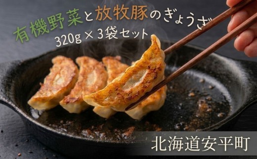 
            有機野菜と放牧豚のぎょうざ3袋セット【1518870】
          