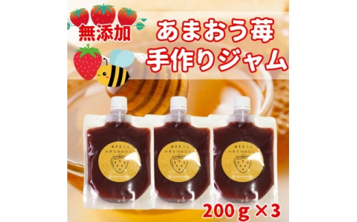 いちごジャム 無添加あまおうとハチミツのジャム200g×3袋 手作り国産チューブパウチ入り(福岡県)【1660458】