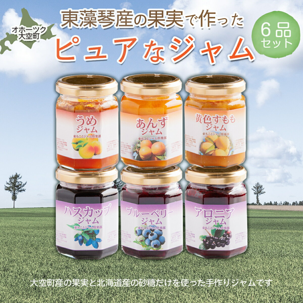 【ふるさと納税】 オホーツク東藻琴産の果実で作ったピュアなジャム6品セット 【 ふるさと納税 ジャム ハスカップ ヨーグルト パン ケーキ 料理 ソース 加工品 北海道 大空町 送料無料 】 OSK001